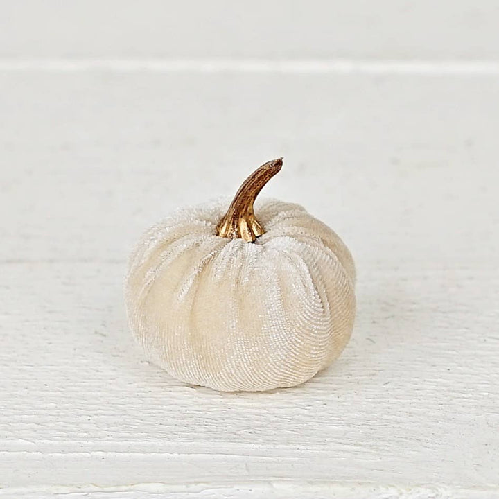 31343-Bag of 6 Champagne velvet 2-inch pumpkins