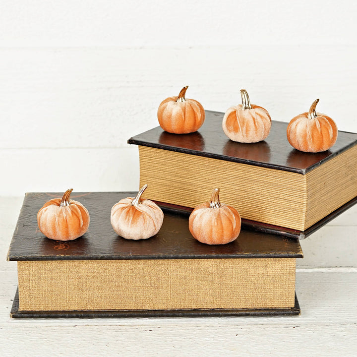 31346- Bag of 6 velvet 2in pumpkins w.golden stem-PEACH