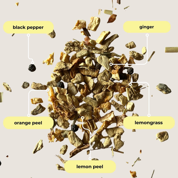 Lemon Ginger Herbal Mini Tube Gift (5 tea bags)