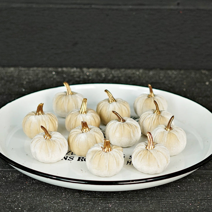 31343-Bag of 6 Champagne velvet 2-inch pumpkins