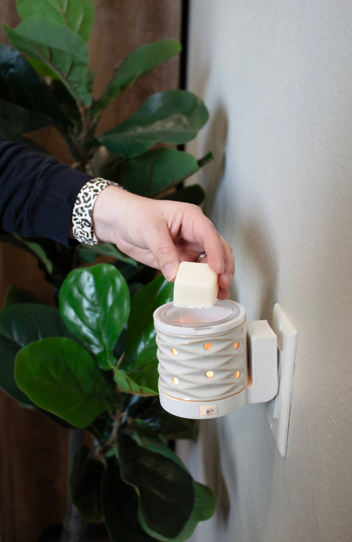 5.5 oz Wax Melts: Fresh Cut Fraser