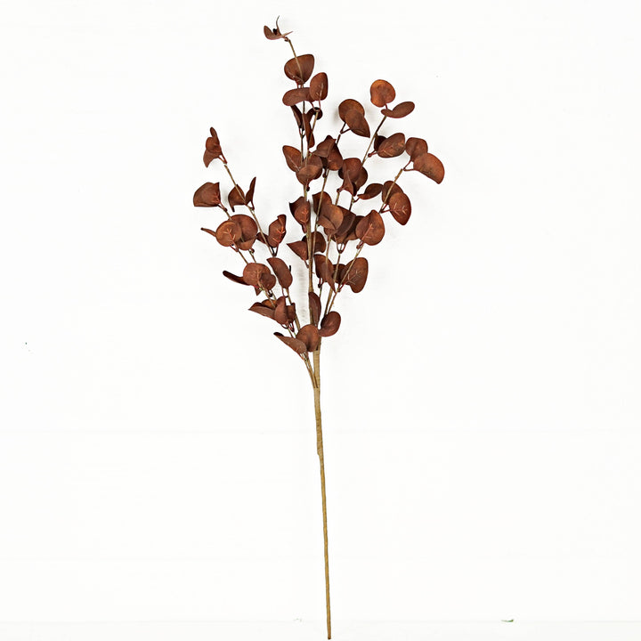 28315- 26in Spray-Foamy Silver Dollar Leaves-Coffee