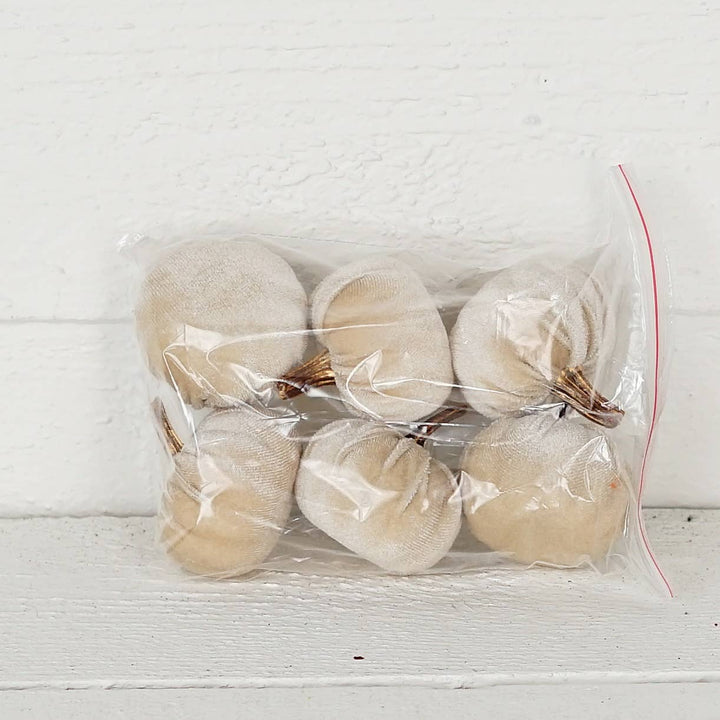 31343-Bag of 6 Champagne velvet 2-inch pumpkins