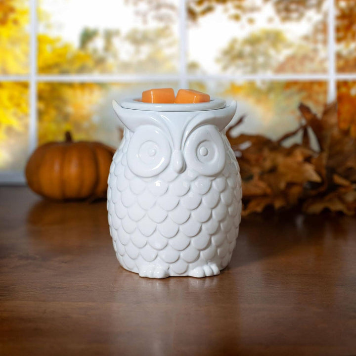 White Owl Fragrance &amp; Wax Electric Warmer