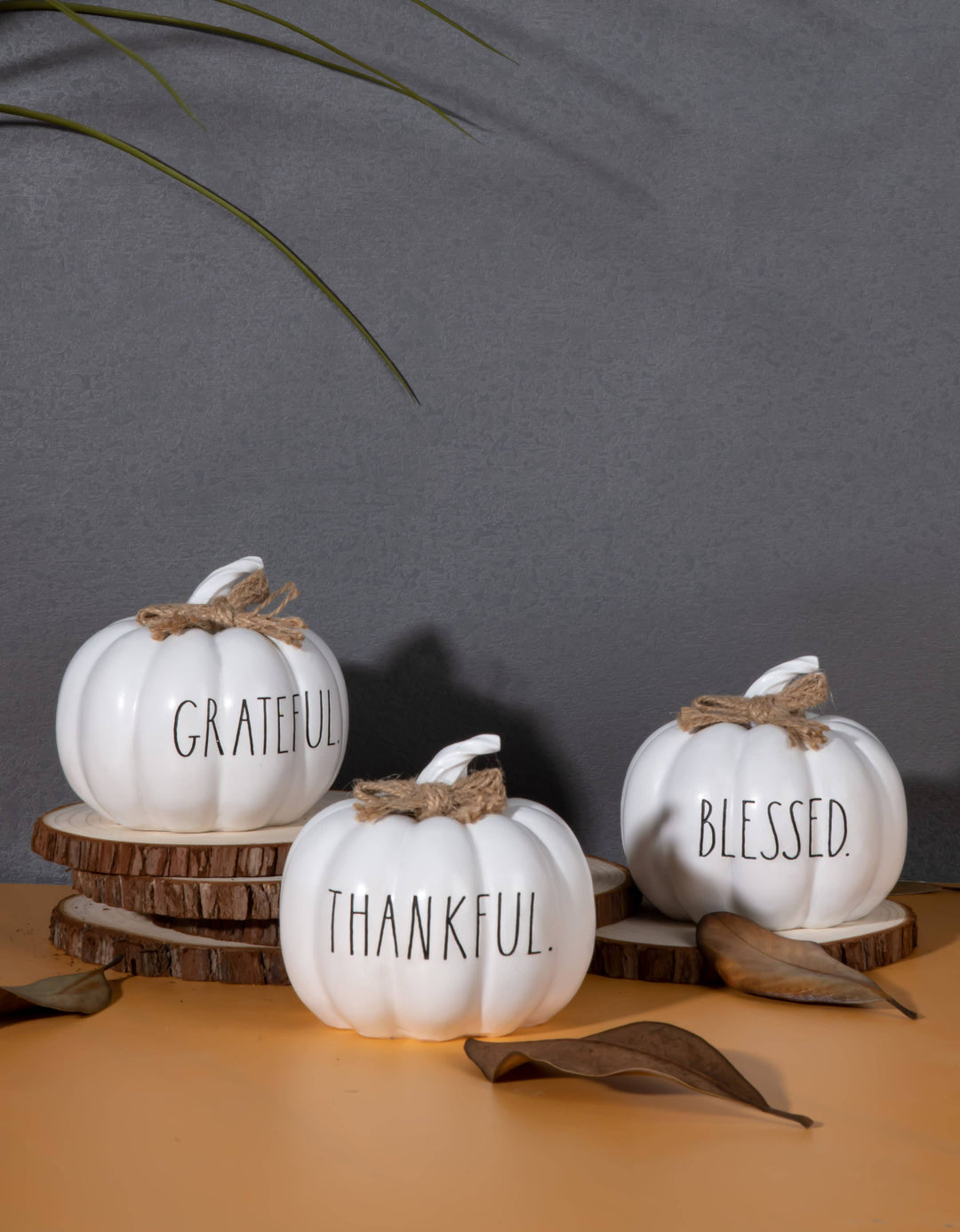 Rae Dunn “Blessed” Set of 3 White Decorative Pumpkins
