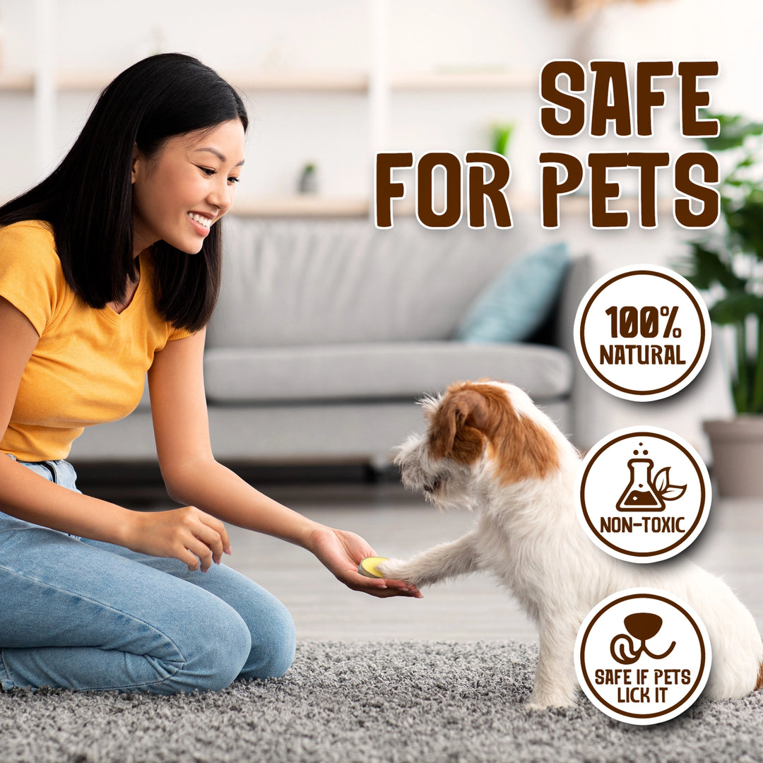 Paw Wax Tin | Dog Paw Balm | Nose and Paw Balm | Puppy Pads