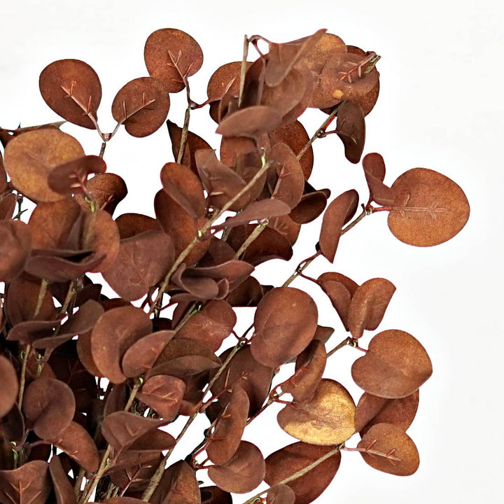 28315- 26in Spray-Foamy Silver Dollar Leaves-Coffee