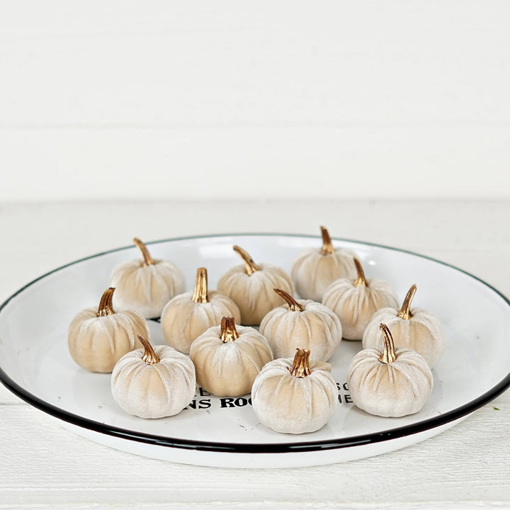 31343-Bag of 6 Champagne velvet 2-inch pumpkins